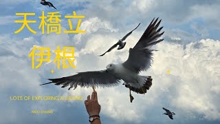 天橋立伊根一日遊公車纜車遊船做到滿 關西廣域周遊券+天橋立2日券走透透不用花到車資 海景生魚片超新鮮 露天吊椅超好玩