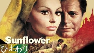 Henry Mancini 映画「ひまわり」　Sunflower