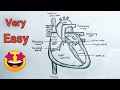 Human Heart Diagram Drawing With Labelled / Medical Education / Heart Drawing Easy