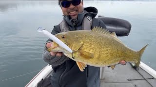 NLW Fishing Live - 早春のナイアガラリバーでカワスモ狙い(2024/4/10)