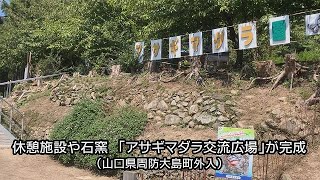 住民手作り　周防大島に「アサギマダラ交流広場」が完成