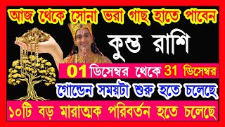 কুম্ভ রাশি  নভেম্বর ডিসেম্বর 10টি বড় পরিবর্তন|kumbh rashi november 2024|kumbh rashi 2024|Aquarius