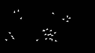 BOIDS Simulation exercise [C#]