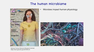 Infectious Disease: Amanda Lewis - Infections of the Reproductive Tract in Women