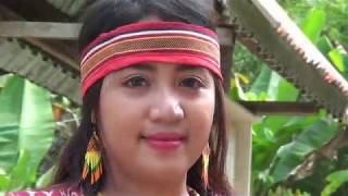 Mxtube.org :: gadis dayak telanjang Mp4 3GP Video & Mp3 Download ...