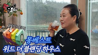 모개의일상 | 따스한 차 한 잔으로 나에게 주는 선물같은 시간 | 몽베스트 위드 더 블랜딩 하우스 블랜딩 티 버라이어티 팩 | 녹차, 홍차, 얼그레이