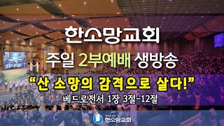 2022년 12월 11일 한소망교회 대림절 세 번째 주일 2부 예배 생방송