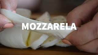 KAKO NAPRAVITI MOCARELU ZA 30 MINUTA / HOW TO MAKE FRESH MOZZARELLA IN 30 MINUTES