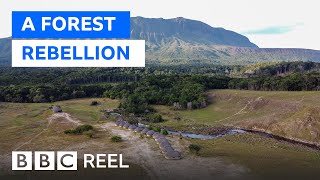 The remote Venezuelan community that rejected money and mining - BBC REEL