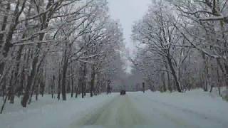 2018年2月2日　雪景色の奥日光 車載動画　竜頭の滝から戦場ヶ原まで