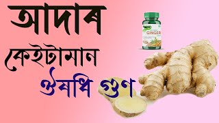 আদাৰ এই কেইটা ঔষধি গুণৰ বিষয়ে জানেনে || Dr. Ponkhi Sharma (PT)