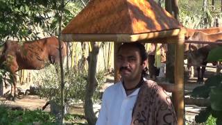 आओ जाने प्राणायाम का सही तरीका