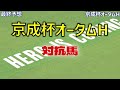 【京成杯オータムハンデキャップ2024】最終予想　アスコリピチェーノの１強か？　勝てる馬は！　【競馬予想】