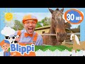 Old MacDonald🎶🐮 | Blippi Music Video | Community Corner 🌸| Kids Sing and Play