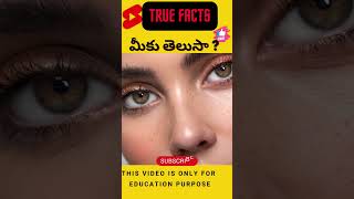 Facts about eyes || #shorts #viral #trending #factsintelugu #youtube #telugufacts #short