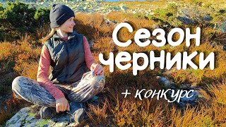 ПОХОД ЗА ТАЁЖНЫМИ ДАРАМИ! Собираем чернику в горах Кузнецкого Алатау! Разыгрываю черничное варенье!