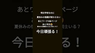 夏休みの宿題が終わらない😭