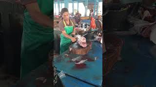 AMAZING SKILLS‼️ Skilled Hands Cut Tuna Fish Quickly #tuna #tunacutting #fishcutting