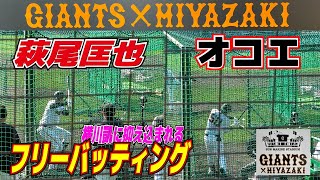 巨人　萩尾匡也　オコエ　フリーバッティングで横川凱に抑え込まれる【巨人　宮崎春季キャンプ】　読売ジャイアンツ　プロ野球ニュース