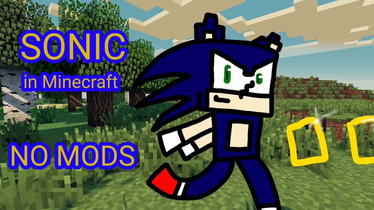 How To Be Sonic In Minecraft (commands) - YouTube