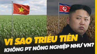VÌ SAO TRIỀU TIÊN KHÔNG PHÁT TRIỂN NÔNG NGHIỆP NHƯ VIỆT NAM?