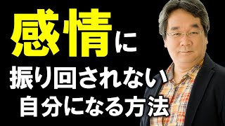 心を探求するあなたへ贈る！もう振り回されない！「感情」はどのようにして出来るのか？【平準司の聞き流し系セミナー動画】