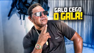 GALO CEGO IRIA CANCELAR A CAIXA POSTAL ATÉ QUE... 😂 | RECEBIDOS DO GALO CEGO