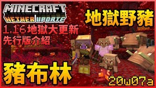 [Minecraft1.16地獄大更新先行版] 全新豬布林和地獄野豬! 豬布林以物易物, 更多!1.16先行版20w07a内容介紹