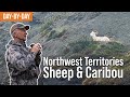 There's a Difference Between Living and Breathing | NWT Sheep & Caribou Day-by-Day (EP.1)