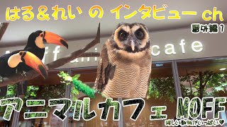 【インタビュー番外編】ららぽーと内にあるアニマルカフェMOFF。恐怖のオニオオハシえさやり体験。