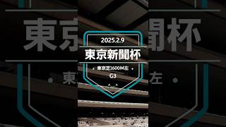 【東京新聞杯 2025】上位5頭予想！春のマイルG1に向けての前哨戦、東京新聞杯の開催です。賞金加算して、安田記念、ヴィクトリアマイルへ！