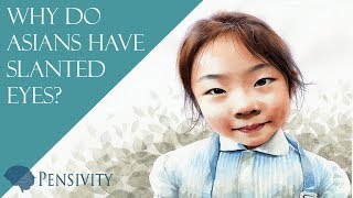 Why Do Asians Have Slanted Eyes
