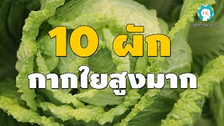 สุขศึกษาน่ารู้ EP58 : 10 ผักที่มีกากใยสูงมาก