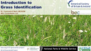 Introduction to Grass Identification