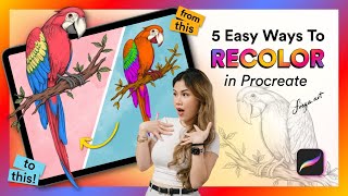 How to Recolor Your Artwork in Procreate 🎨 Basic Beginner Guide