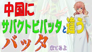 バッタが中国に大量飛来 サバクトビバッタではない！日本に来るのか？【人生100年時代】今が一番幸せ！ お金・愛・夢  ゼロコンカツ　ハッピーな毎日を楽しむ