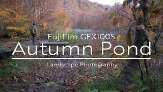 【Fujifilm GFX100S】Autumn Pond ~紅葉彩る秋の池~【風景写真】