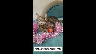 Маловато, понимаешь! Маловато😺