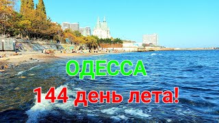 Одесса лето в октябре. Море. Пляжи. Отдых выходного дня. 10 фонтана. Оползень. Катакомбы. #зоотроп