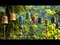Hura - Tibetan Bells | Peaceful Wind Chimes | Focus Fast Deeply