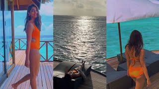 Pooja Hegde Unseen Maldives Hot Bikini Videos Collections || Bollywood Actress #poojahegde #hot #new