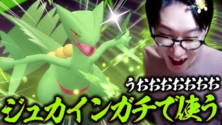 【ジュカインを活躍させる方法、捻り出してみた】どんだけ硬いポケモンでもワンパンできるコンボジュカイン構築が強いかもしれないと話題にいいいいいい！！！！【ビエラ ポケモン ダイパリメイク BDSP】