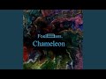 Chameleon (Original Mix)