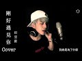 剛好遇見你 official cover video elvis田亞霍