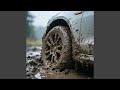 Stuck in the Mud