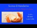 Curarsi con i cibi cinesi: scorza di mandarino nell’alimentazione e dietetica cinesi