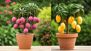 Master the Art of Growing Mango Trees from Seed in Minutes!