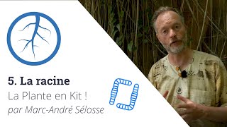 La Plante en Kit ! Ep5 - La racine, avec Marc-André Sélosse