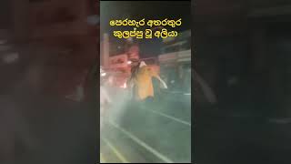 Elephant attack in esala perahera | kandy sri lanka |කුලප්පු වූ අලියා #elephantattack #perahera