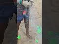 live fish catching sea fish without boat